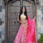 Luxury Colors indian lehenga Dresses