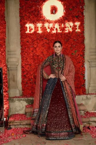 divani-bridal-couture-collection-winter-dresses-2016-17-3