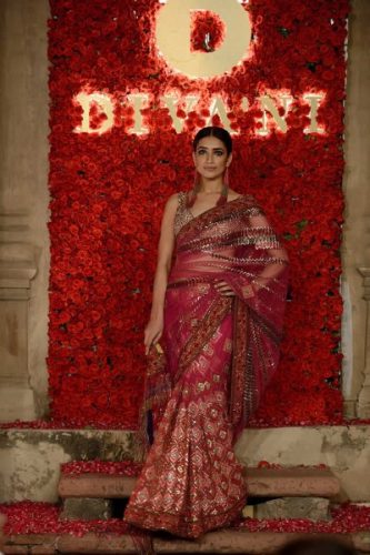 divani-bridal-couture-collection-winter-dresses-2016-17-5
